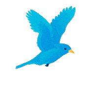 page loader gif